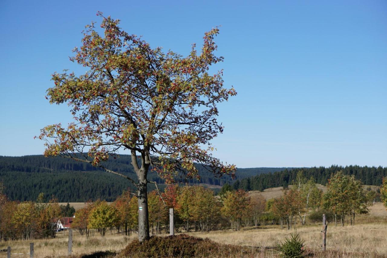 Apartmany U Muzea Horní Blatná 外观 照片
